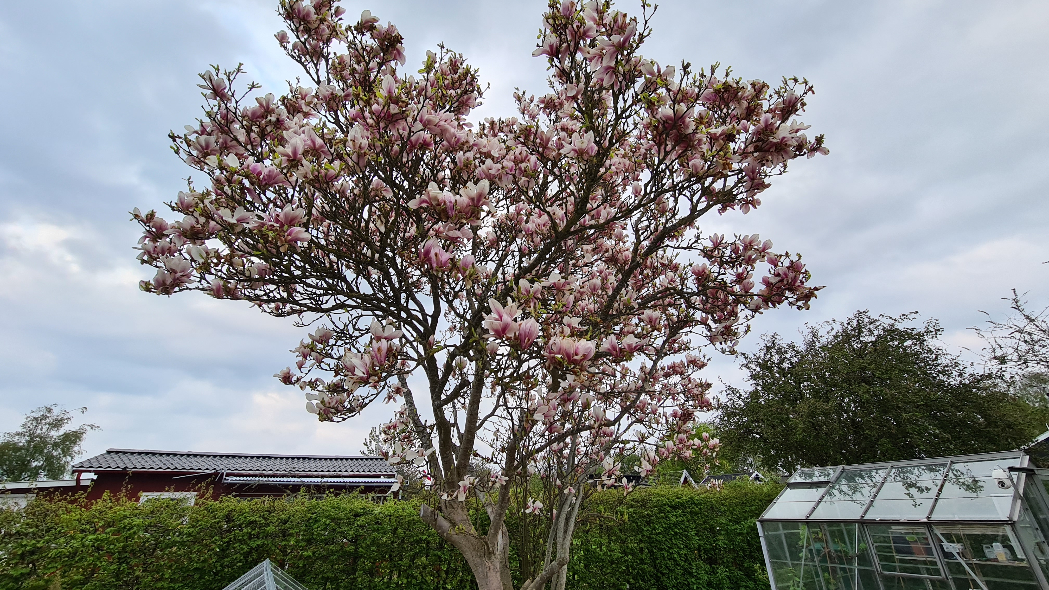 2021-05-13 18.56.25.jpg